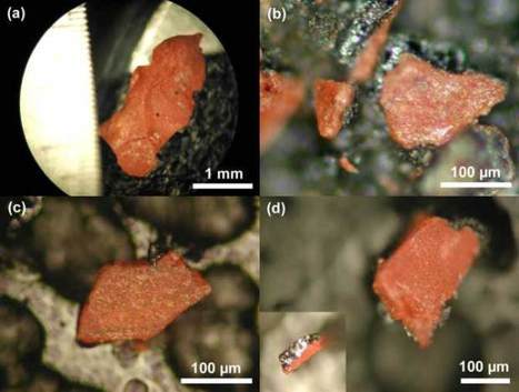Des scientifiques confirment à nouveau qu'un explosif Nano-thermitique a été utilisé pour détruire les tours jumelles le 11/09 | ACTUALITÉ | Scoop.it