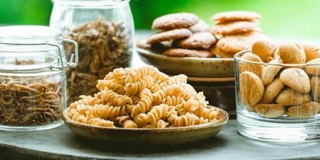 Micronutris cherche 1,5 million d'euros pour commercialiser des "pâtes aux insectes" | La lettre de Toulouse | Scoop.it