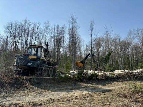 Les producteurs forestiers r&eacute;agissent au retrait du projet de loi 97 | Revue de presse La Matanie | Scoop.it