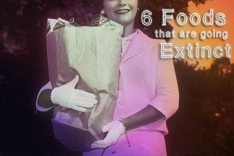 6 Foods That Are Going Extinct Because of Climate Change | Vintage Living Today For A Future Tomorrow | Scoop.it