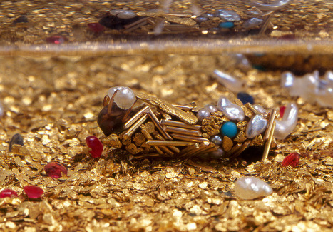 Artist Hubert Duprat Collaborates with Caddisfly Larvae as They Build Aquatic Cocoons from Gold and Pearls | Digital #MediaArt(s) Numérique(s) | Scoop.it