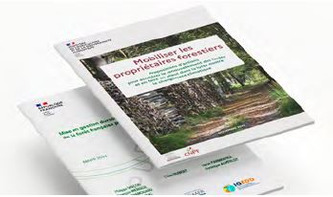 Foncier forestier : les collectivités au coeur de la réponse territoriale - FNCOFOR | Environnement - Développement durable - Climat | Scoop.it