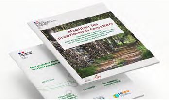 Foncier forestier : les collectivités au coeur de la réponse territoriale - FNCOFOR | Environnement - Développement durable - Climat | Scoop.it