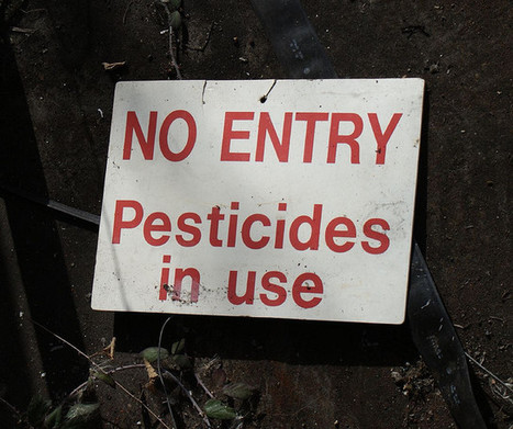 Pesticides. Fruits et légumes les plus et moins pollués | Toxique, soyons vigilant ! | Scoop.it