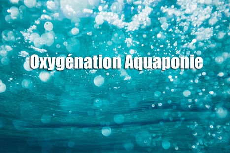 Oxygénation Aquaponie | Actualités, Communiqués Presse, Nouveautés, Infos... | Scoop.it