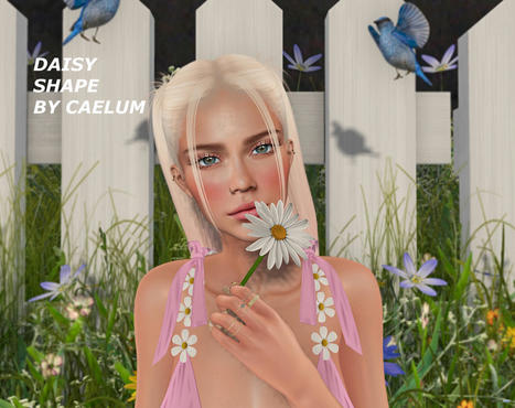 Daisy Shape for Legacy and Lelutka 10L Promo by Caelum | Teleport Hub - Second Life Freebies | Teleport Hub | Scoop.it