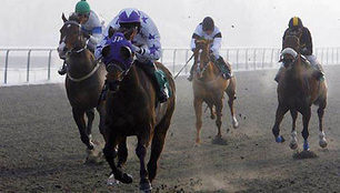 Rule change resolves Irish headgear confusion | Racing Regulatory Issues | Scoop.it