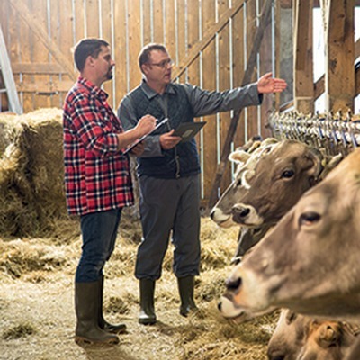 Qui sont les agriculteurs que le conseil agricole n'arrive pas à atteindre ? - Veille Prospective & Evaluation | Pour innover en agriculture | Scoop.it