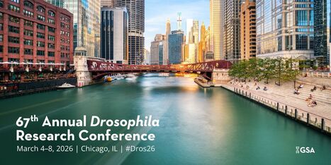 67th Annual Drosophila Research Conference | EntomoScience | Scoop.it