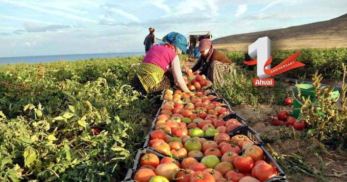 Turkey in need to reform its agricultural policy ?