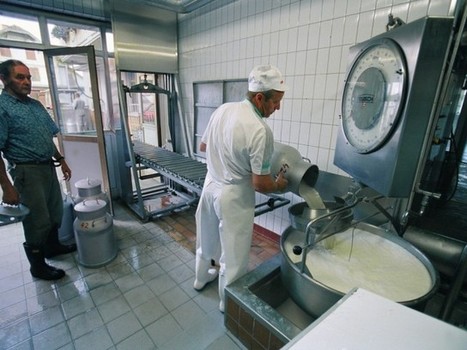 Suisse : Les paysans produisent de nouveau trop de lait | Questions de développement ... | Scoop.it