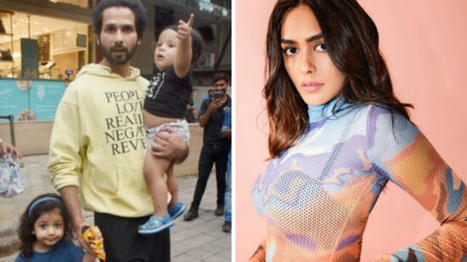 Shahid Kapoor says 'bacche jaldi utha dete hain', tells Jersey co-star Mrunal Thakur to enjoy single life - Movies News | Latest BOLLYWOOD movie news reviews | Scoop.it