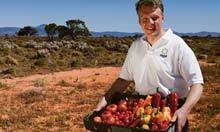 Growing food in the desert: is this the solution to the world's food crisis? | The Asian Food Gazette. | Scoop.it
