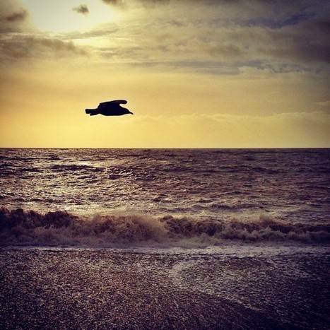Instacanv.as Photo by bouchac | Instagram Tips and Tricks | Scoop.it