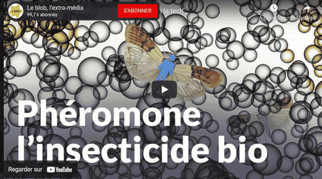 Des phéromones pour remplacer les pesticides | EntomoNews | Scoop.it
