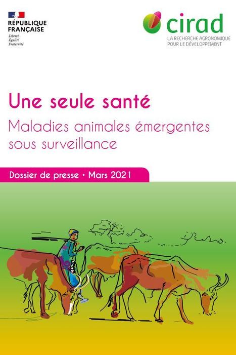 Une seule santé : Maladies émergentes animales sous surveillance - CIRAD | EntomoNews | Scoop.it