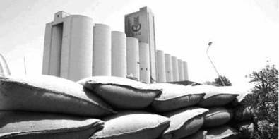 Algérie : L’OAIC se lance dans la production de blé | AFRIQUES | Scoop.it