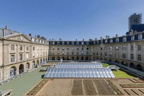 Une toiture-terrasse qui évolue en potager - Cahiers Techniques du Bâtiment (CTB) | Paysage - Agriculture | Scoop.it