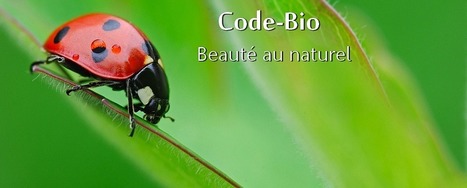 Beauté au naturel: L'aloe vera, médecine miracle ? | Santé par les plantes | Scoop.it