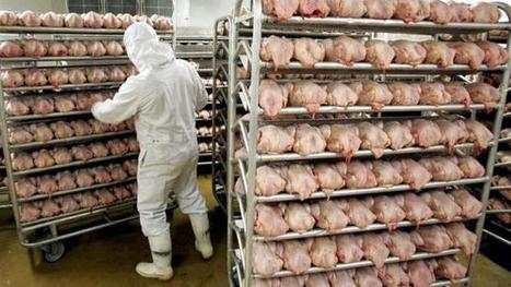 Chine. Un march&eacute; appel&eacute; &agrave; se d&eacute;velopper pour la viande | La Gazette des abattoirs | Scoop.it