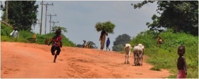 Landgrabbing for Nigeria’s Rice Revolution | Questions de développement ... | Scoop.it