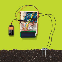How Arduino Saved My House Plants | tecno4 | Scoop.it