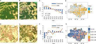 Climat : La forêt amazonienne brésilienne émet désormais plus de carbone qu'elle n'en absorbe | Histoires Naturelles | Scoop.it