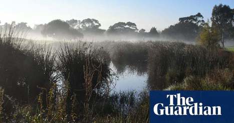 Undraining the swamp: how rewilders have reclaimed golf courses and waterways | Environment | The Guardian | GTAV AC:G Y7 - Water in the world | Scoop.it