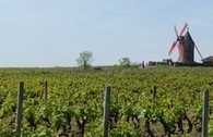 Winetourisminfrance - L'Université d'été de l'oenotourisme | World Wine Web | Scoop.it