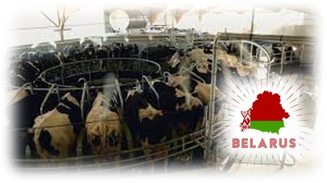 La Biélorussie devient le 5ème fournisseur de produits laitiers du marché chinois | Lait de Normandie... et d'ailleurs | Scoop.it