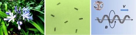 Performers Cited for 'Best of Biomimicry in 2013' - DVIDS | Biomimicry 3.8 | Scoop.it