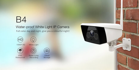 ip cameras near me