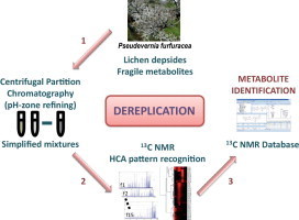 Dereplication of depsides from the lichen Pseudevernia furfuracea by centrifugal partition chromatography combined to 13C nuclear magnetic resonance pattern recognition | Natural Products Chemistry Breaking News | Scoop.it