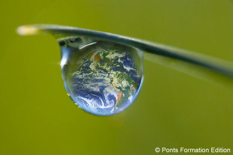 Veille documentaire en Ecologie et Développement durable | ECOLOGIE - ENVIRONNEMENT | Scoop.it