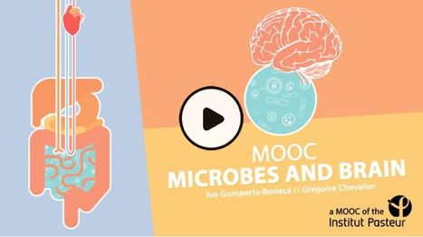 MOOC Institut Pasteur : "Microbes and Brain" | EntomoScience | Scoop.it