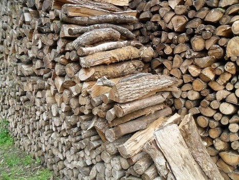 Demande : Le bois de chauffage plus cher dans la durée | Build Green, pour un habitat écologique | Scoop.it