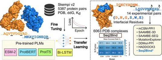 Seq2Bind webserver for binding site prediction ...