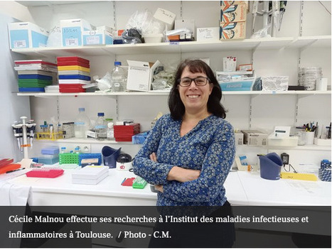 Virus transmis par les insectes pendant la grossesse : un projet à 1 million d’euros pour protéger les femmes enceintes | Revue de presse | Scoop.it