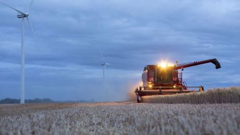 En France, l'agriculture manque de bras | FRUITS ET LÉGUMES | Scoop.it