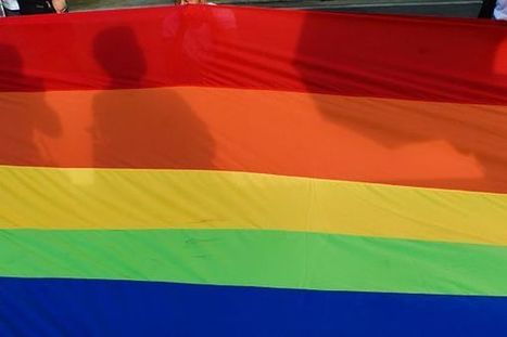 Une appli pour signaler les actes homophobes dans les Outre-mer et dans l’Hexagone | Revue Politique Guadeloupe | Scoop.it