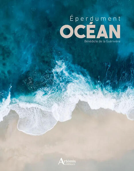 Eperdument Oc&eacute;an - B&eacute;n&eacute;dicte de la Gu&eacute;rivi&egrave;re - Librairie Les Passeurs de mots | Biodiversit&eacute; | Scoop.it