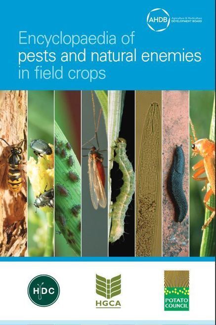 Indispensable : Encyclopédie des ravageurs et auxiliaires en plein champ (AHDB) | HORTICULTURE | Scoop.it