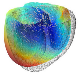 Matemáticas para el corazón.- | Matemáticas.- | Scoop.it