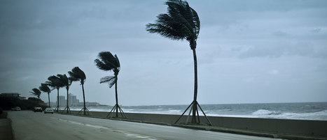 Havoc in the Workplace: Coping with ‘Hurricane’ Employees - Knowledge@Wharton | Talent Acquisition & Development | Scoop.it