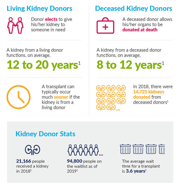 What's the Difference? Living vs. Deceased Kidney Donors | Peritoneal dialysis | Scoop.it
