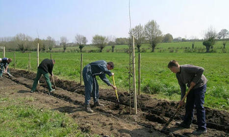 Paysages, agriculture et biodiversit&eacute;&nbsp;: le retour aux haies&hellip; - Paris C&ocirc;te d'Azur - Pariscotedazur.fr | Gestion Durable des Ressources | Scoop.it