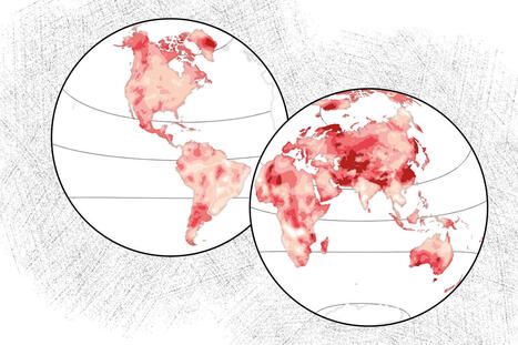 En&nbsp;2025, une succession d&rsquo;&eacute;v&eacute;nements m&eacute;t&eacute;orologiques extr&ecirc;mes marqu&eacute;s par l&rsquo;empreinte du r&eacute;chauffement | EntomoScience | Scoop.it