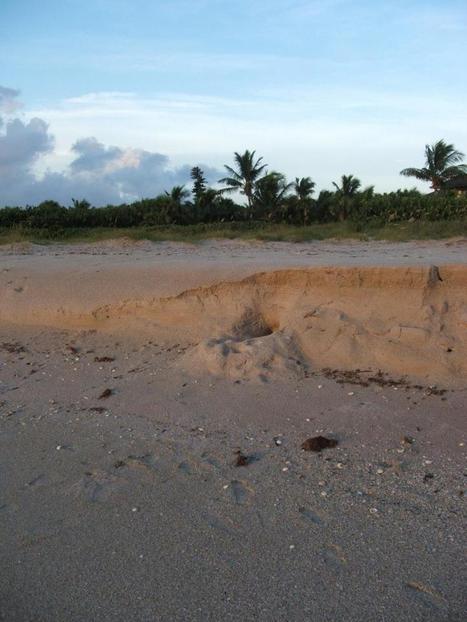 The physics of ocean undertow: Small forces make a big difference in beach erosion | Ciencia-Física | Scoop.it