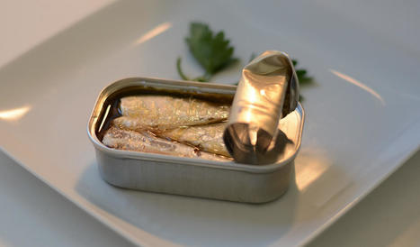 MAROC : L’heure est au ralentissement dans l’industrie de la conserve de poissons, un des piliers de son industrie agroalimentaire | CIHEAM Press Review | Scoop.it