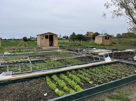 Un jardin &agrave; faire pousser ensemble : Oisemont invite ses habitants &agrave; s&rsquo;exprimer | Petites villes de demain | Veille presse | Scoop.it